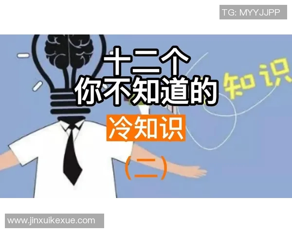 你不知道的三分王:十大冷知识大揭秘 你不知道的三分王:十大冷知识大揭秘